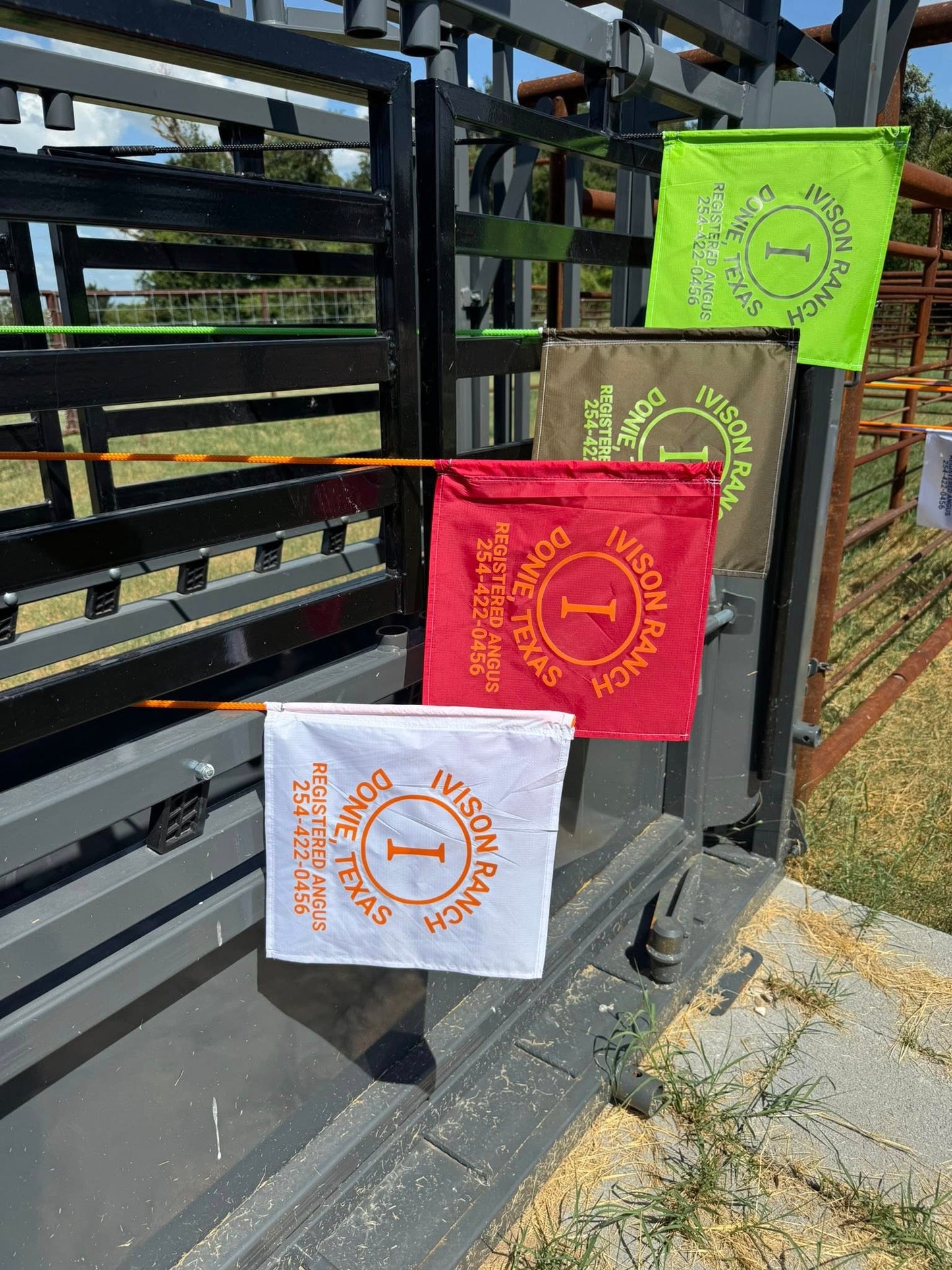 Custom Cattle Flags